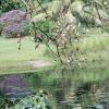 Mount's Botanical Garden - West Palm Beach 