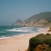Rocky Shore - California 