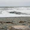 Rocky Shore - Winthrop, MA