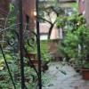 Beacon Hill Garden - Boston