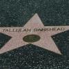Tallulah - Hollywood