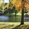 Frog Pond - Boston, MA 