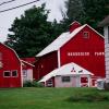 Brookside Farm - Connecticut 