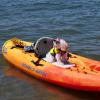 Dog On Kayak 